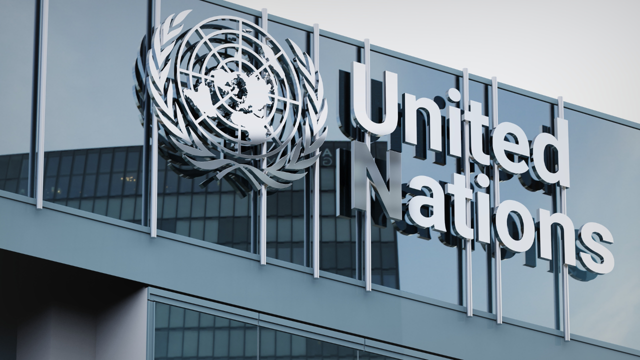 DTC members meeting a UN official at United Nations Headquarters